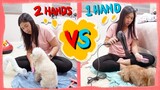 Grooming my Dogs with a Hands-Free Pet Dryer | Little Paws Petietec Handily2 Review | The Poodle Mom