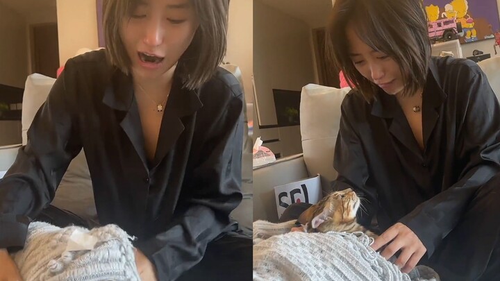 สาวควบคุมอารมณ์ไม่อยู่หลังถูกแมวข่วน ทั้งร้องไห้ทั้งระบายจนชาวเน็ตขำ: มันไม่เข้าใจความเศร้าของเธอหรอ