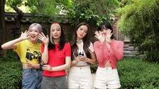 คำทักทายภาษาจีนจาก BLACKPINK! โปรดสนับสนุนเพลงใหม่ของ BLACKPINK! - -