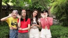 Greetings from BLACKPINK in China! Please support BLACKPINK's new songs!!!