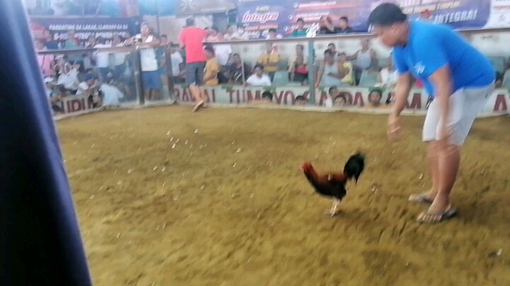 5K sweater x C. Kelso