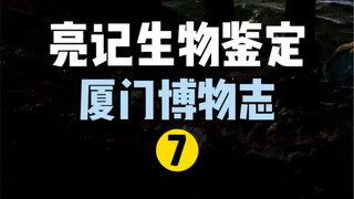 厦门荧光海和红树林的生物