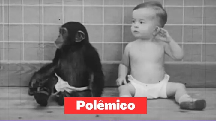 O Polêmico Caso Do Bebê Criado Com Um Chimpanzé