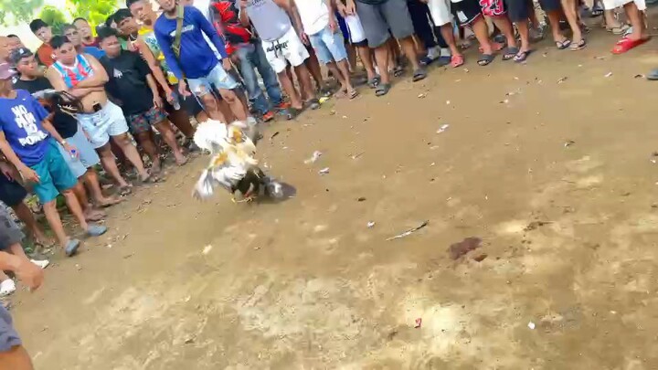 kiskisan matira matibay quality laban sa mukhang tagalog daw 🤣