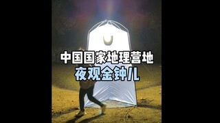 [China National Geography Camp] Night Observation of the Golden Bell Frog