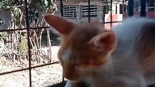 sobra Naman ito