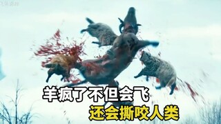 羊群发生变异，不但会飞，还疯狂撕咬人类