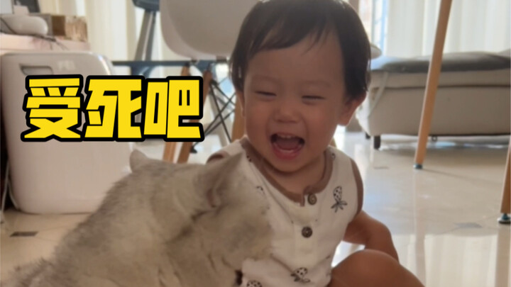 Who said pets and human babies can get along harmoniously?! Liar!!