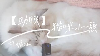 【Cat Nap Time】Great for Work, Study, Stress Relief, Relaxation, and Meditation to Aid Sleep—Incredib