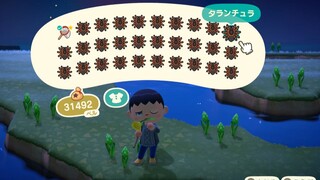 【叶】动森前期通过刷狼蛛快速赚钱的方法，一次可暴富24万！【动物森友会】