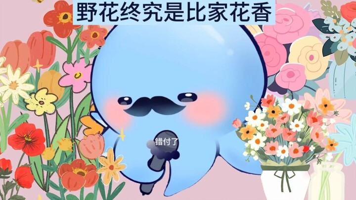 【塔克tako】为什么看别的猪不看我？