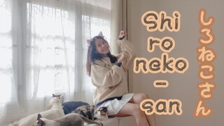 【﻿しろねこさん—Shironeko-san】😻เหมียวๆ เจ้านายเรียกฉันหรือเปล่า? ヾ(*ΦωΦ)ﾉ (Cover Dance)