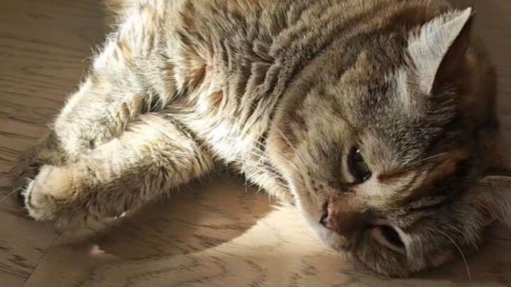 Ai hiểu không, phơi bụng đến đói luôn rồi