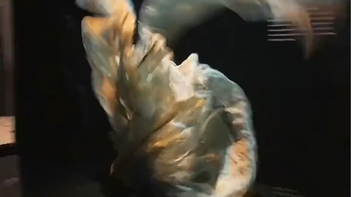 The Shape of the Wind