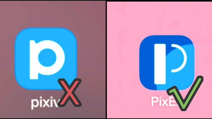 Mengajari Anda cara melihat karya populer dengan Pixez