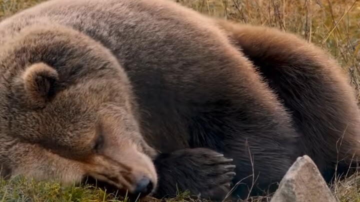 Posisi tidur paling nyaman