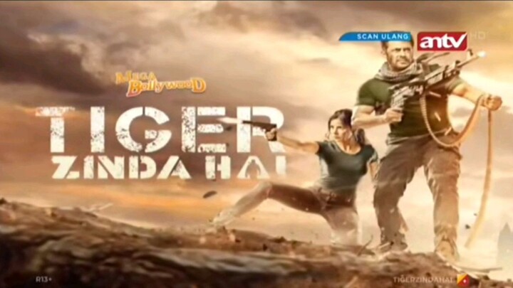 Tiger Zinda Hai