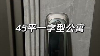 详细介绍一下我的一字型45平公寓