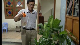 世界杯看完还看出病了，全家一起脱敏别太搞笑了# 外来媳妇本地郎第二部