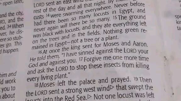 Daily Verse.                  Exodus 10:13-20