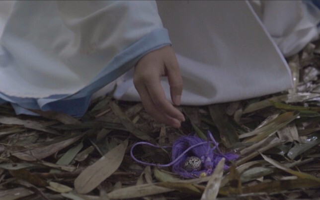 [The Grandmaster of Demonic Cultivation] Searching for flowers in the snow, Wangxian cosplay fan ani