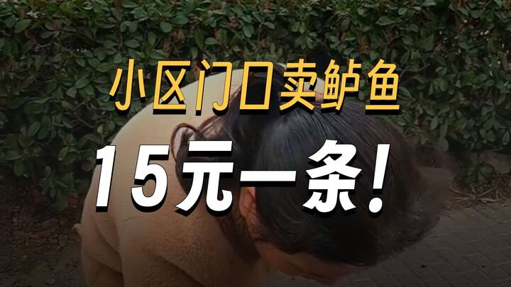 Buy my fish, then resell them for 18 yuan each—profit of 9 yuan per fish!!~