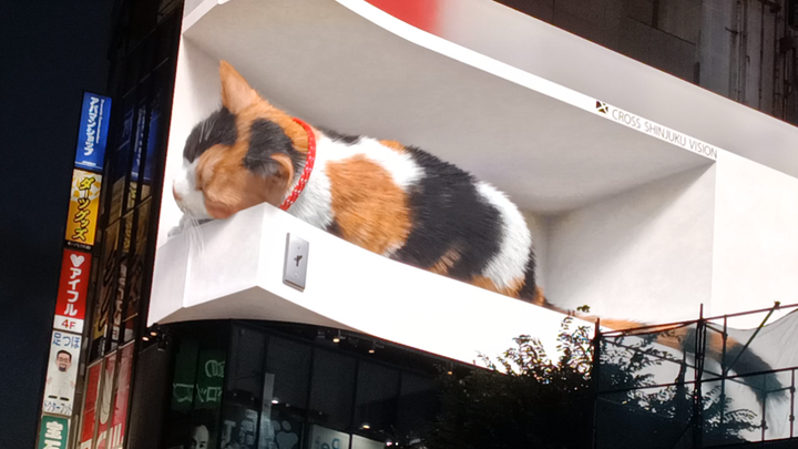 Kucing yang hampir jatuh dari papan iklan