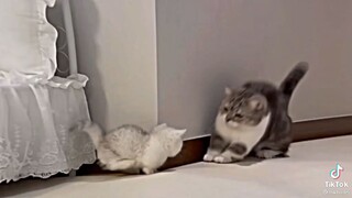 cute 🙂🙂🥰