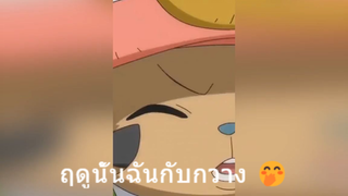 ฤดูนั้นฉันกับกวาง 🤭