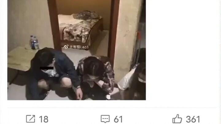 Nên bắt hết rồi