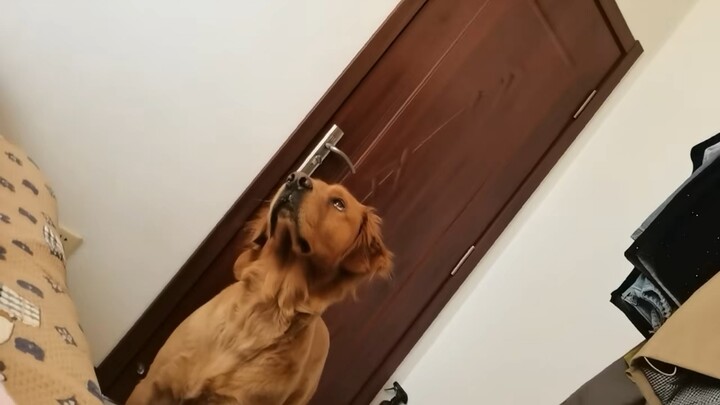 °°°°°