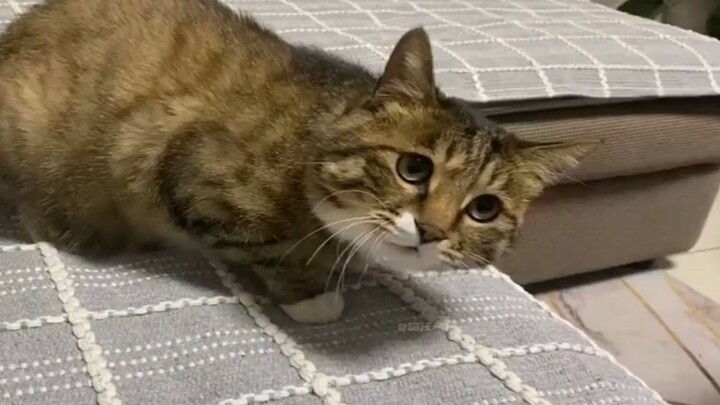 “كلما رعى الآخرون هذا الشيء، زادت حماسي!”