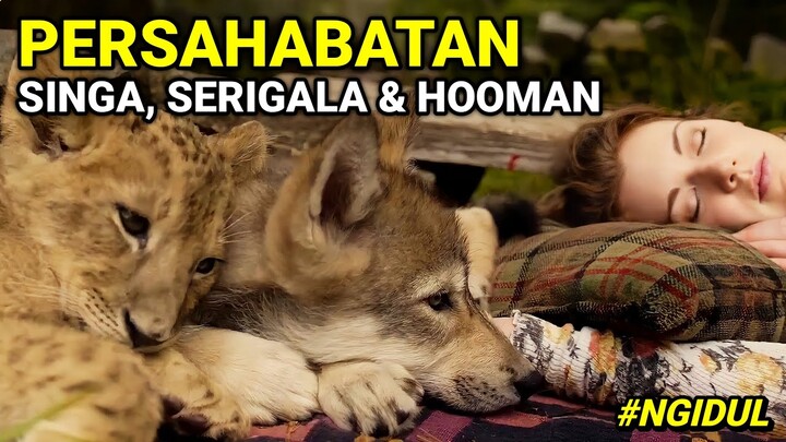 KISAH MENGHARUKAN SEORANG WANITA YANG TANPA SENGAJA MEMELIHARA SINGA DAN SERIGALA SEJAK BAYI