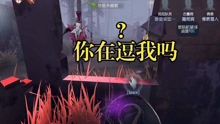 Benar-benar kucing kecil yang suka makan!