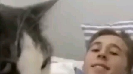 Cat parent: My hair~