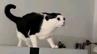 Nó bình thường khi nó bất thường