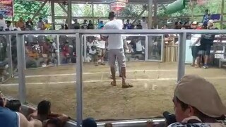 Raptor Sweater win @ Brookes Point Palawan