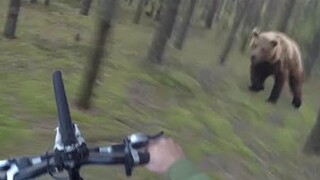 骑车遇到头熊，就说极不极限！