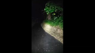 Horror malam hari