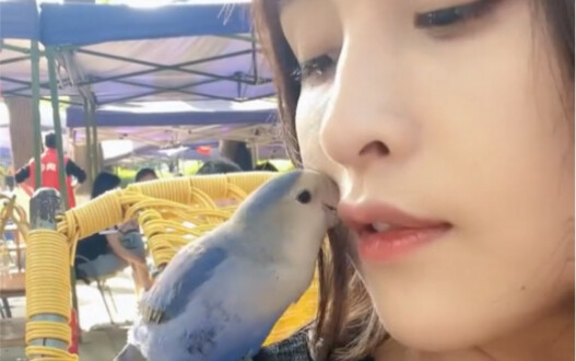 เพราะเลี้ยงมัน ฉันเลยเลิกใส่เครื่องประดับทุกอย่างไปแล้ว ความสวยไม่เกี่ยวกับฉันอีกต่อไปฮ่าๆ ตอนนี้มัน