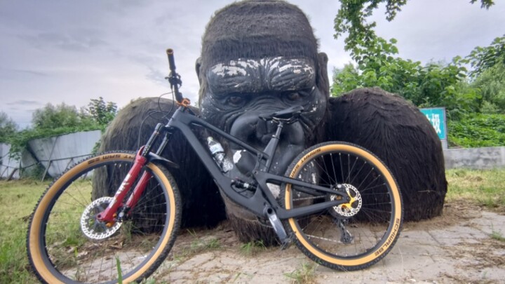 A Societal Observation: Is It Really Necessary to Lock Your Bicycle?