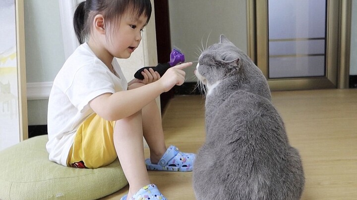 Seorang anak 3 tahun mendidik kucing dengan ketat!