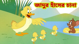 Tom and Jerry | Tom and Jerry Bangla | cartoon | Tom and Jerry cartoon | Bangla Tom and Jerry