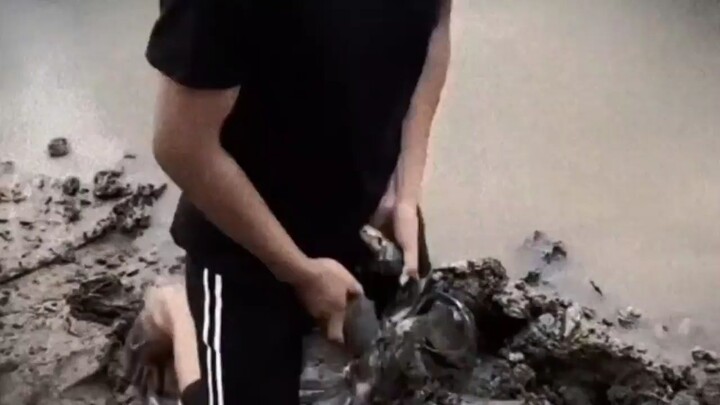 bro will get Traumatized by Crab😑