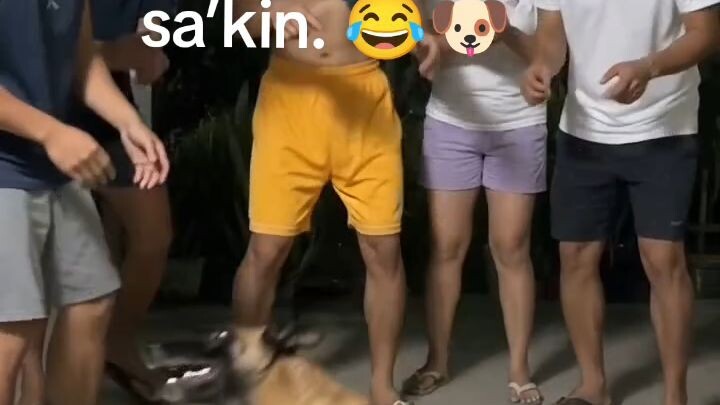 Mas magaling pa sumayaw ang aso kaysa sa’kin. 😂🐶💃