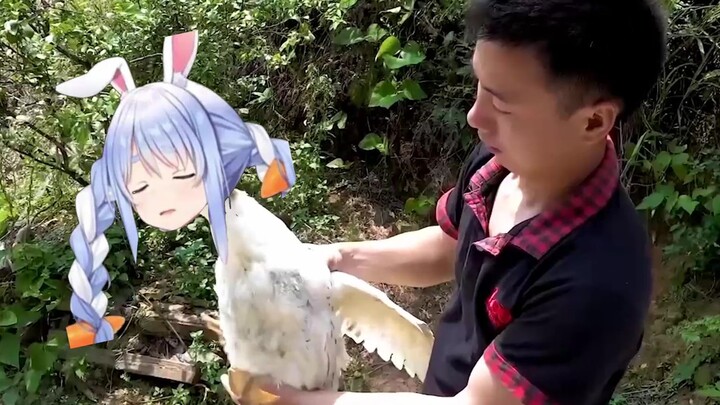 [Huanong Brothers] This Peko is gloating all day long. Don't let me grass Peko