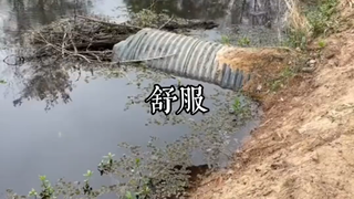 导管是怎么疏通的