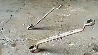 为什么会自己立起来噢？