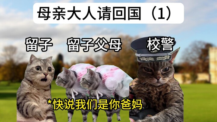 父母变身偷菜达人，留子3秒化解尴尬危机