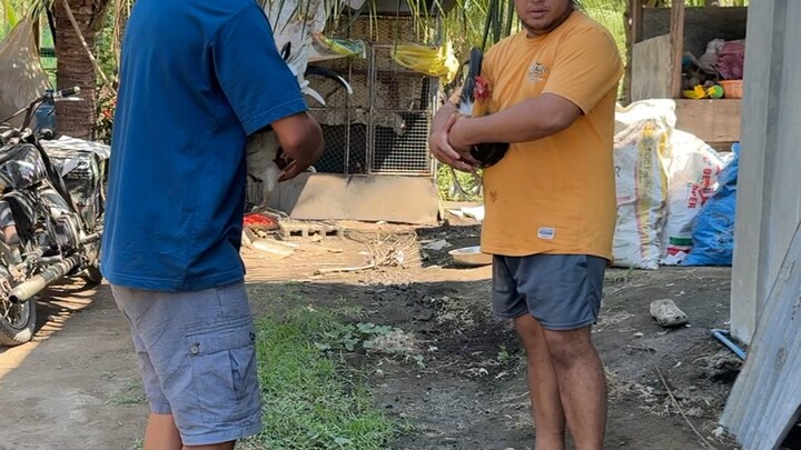 Spar ng mga bata unang butaw
